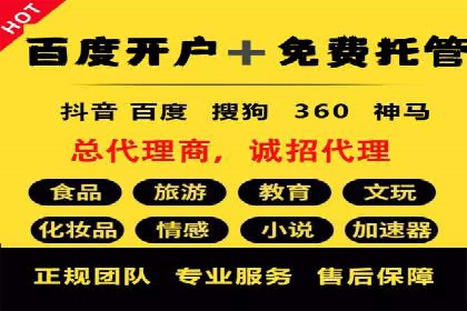 SEM广告投放的技巧与策略——成功案例分享